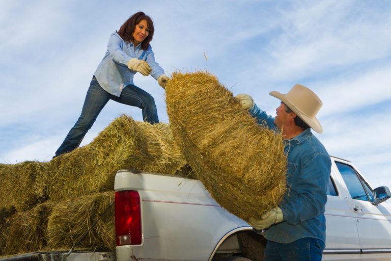 couple loading hay in truck